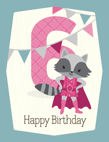 VK9036-Girl 6th Birthday Card